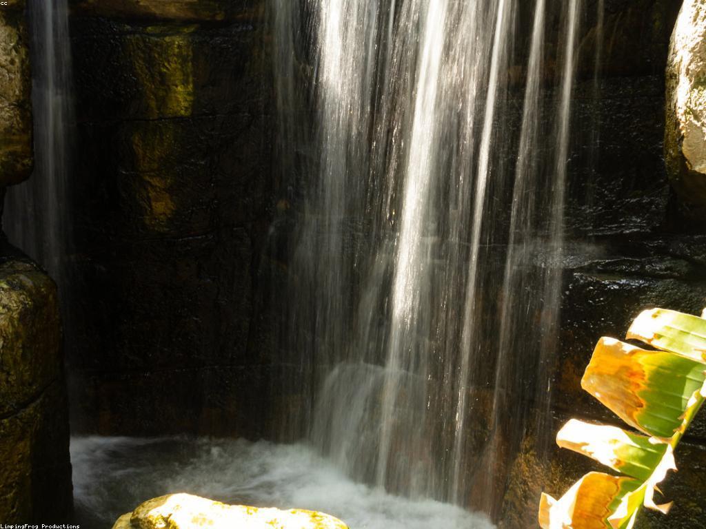 ការស្គាល់អំពីទីលាននៃស្លុត